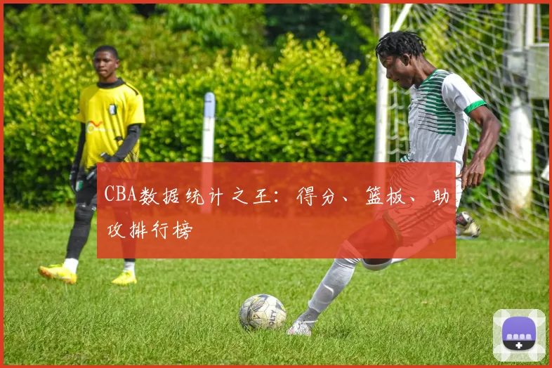 CBA数据统计之王：得分、篮板、助攻排行榜