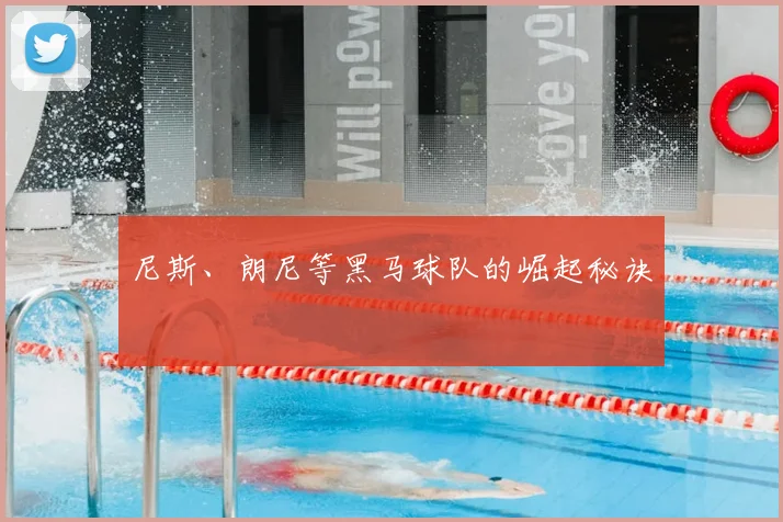 尼斯、朗尼等黑马球队的崛起秘诀