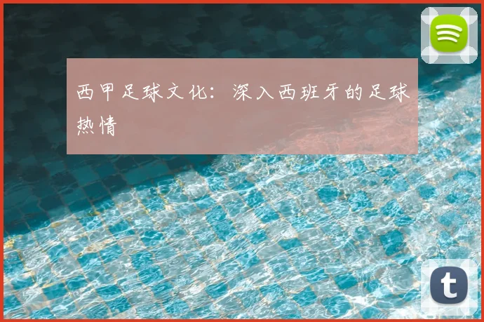 西甲足球文化:深入西班牙的足球热情