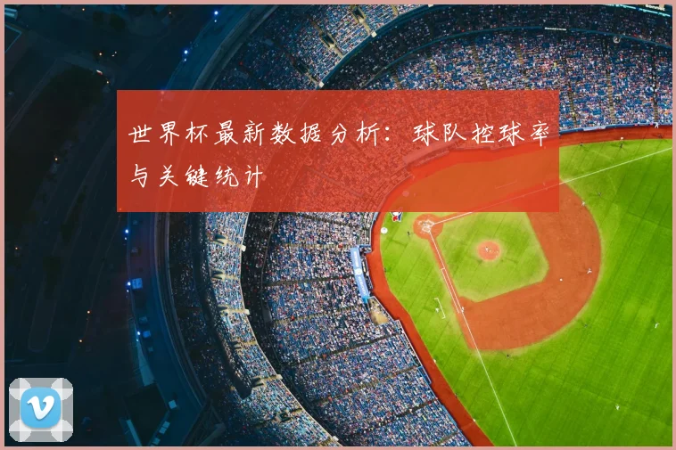 世界杯最新数据分析：球队控球率与关键统计