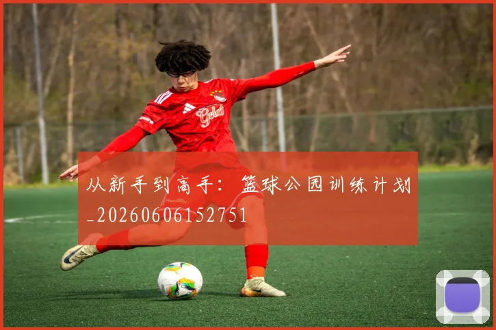 从新手到高手：篮球公园训练计划_20260606152751